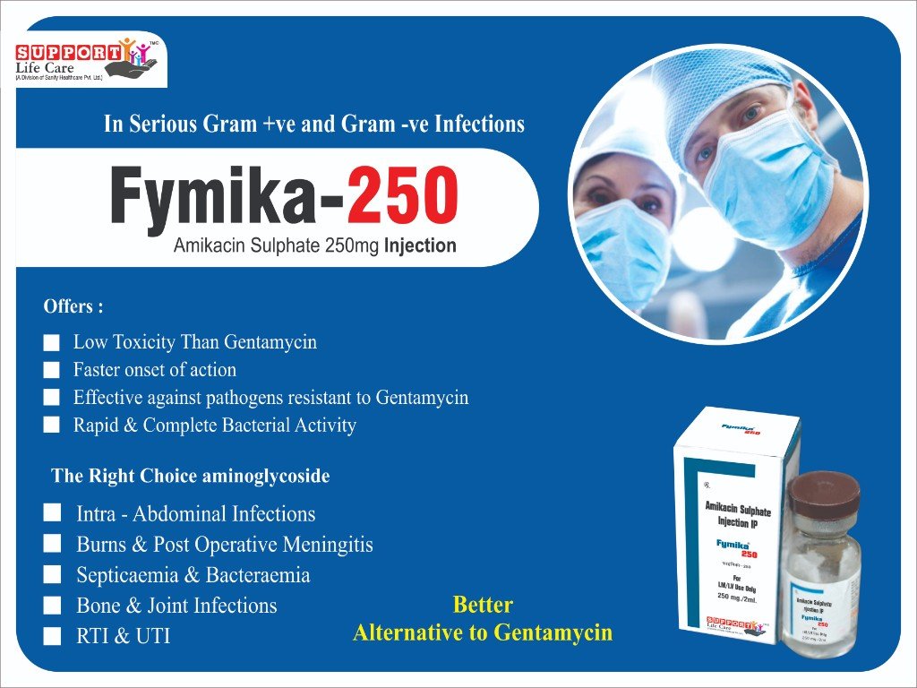 FYmika-250 Visual